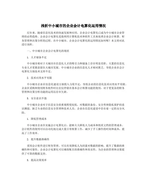浅析中小城市的企业会计电算化运用情况