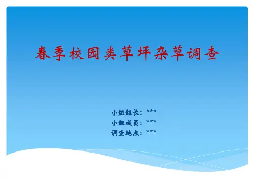 春季校园草坪杂草调查