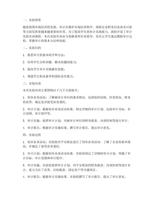 审计实验实训报告马春静