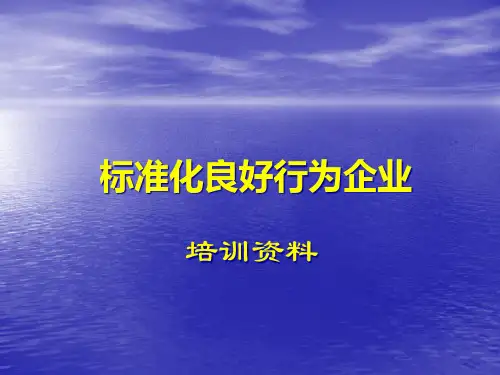 创建标准化良好行为企业内部培训资料.pptx