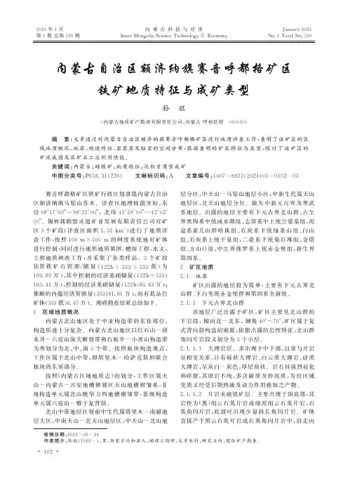 内蒙古自治区额济纳旗赛音呼都格矿区铁矿地质特征与成矿类型