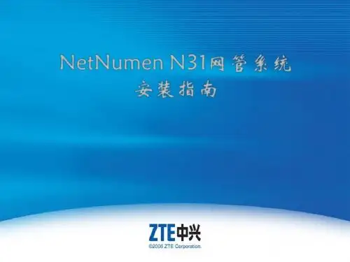 SJYF-PT0502-C1 NetNumen N31网管系统安装指南