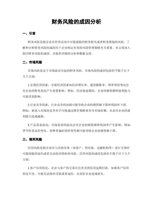 财务风险的成因分析