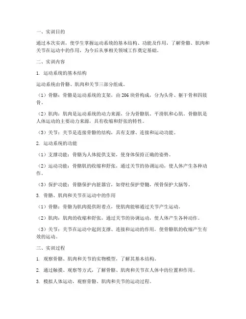 实训报告运动系统
