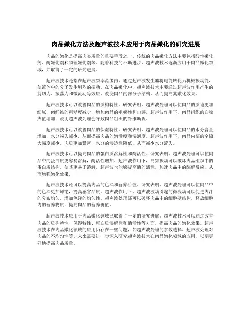 肉品嫩化方法及超声波技术应用于肉品嫩化的研究进展