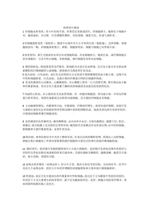 病理切片描述