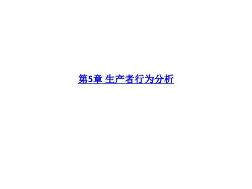 第5章 生产者行为分析-PPT课件