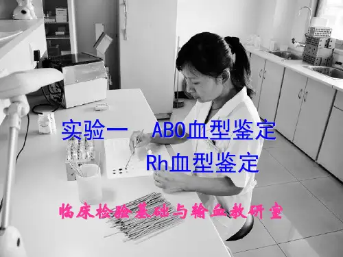 ABO及Rh血型鉴定
