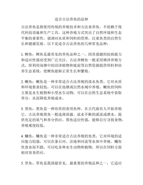 适合古法养鱼的品种