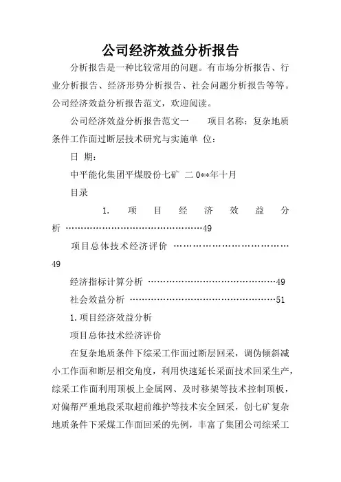 公司经济效益分析报告