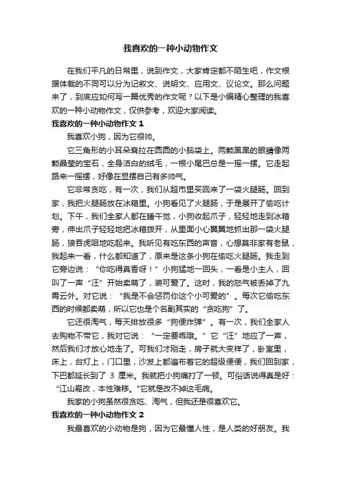 我喜欢的一种小动物作文6篇