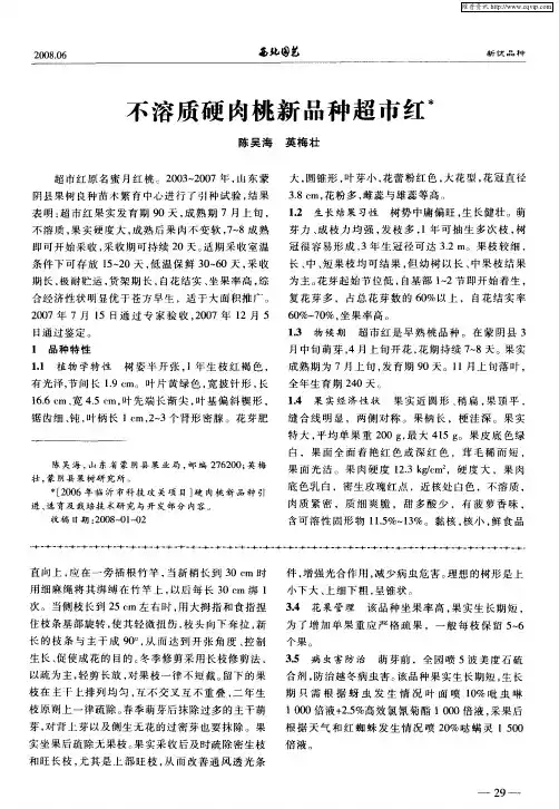 不溶质硬肉桃新品种超市红