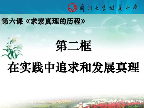 在实践中追求和发展真理——2014公开课课件