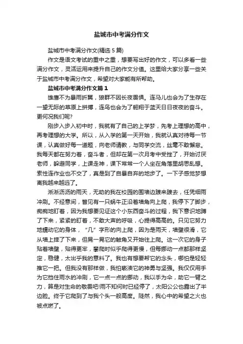 盐城市中考满分作文（精选5篇）