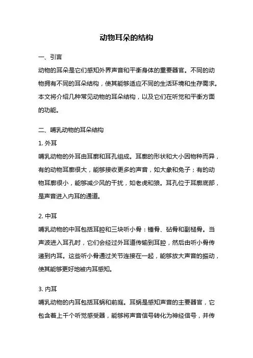动物耳朵的结构