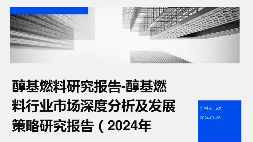 醇基燃料研究报告-醇基燃料行业市场深度分析及发展策略研究报告(2024年