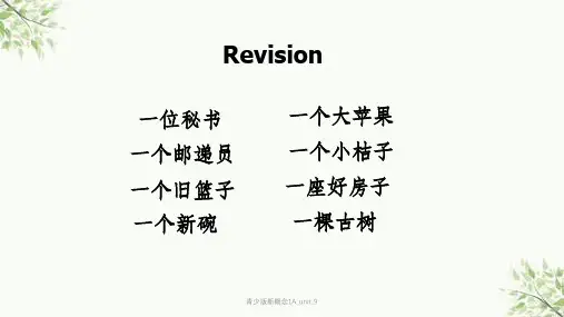 青少版新概念1A_unit_9