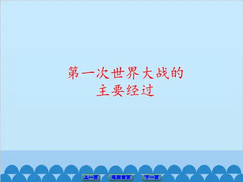 第一次世界大战的主要经过