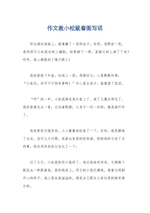 作文救小松鼠看图写话