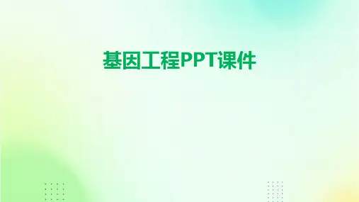 基因工程ppt课件高三