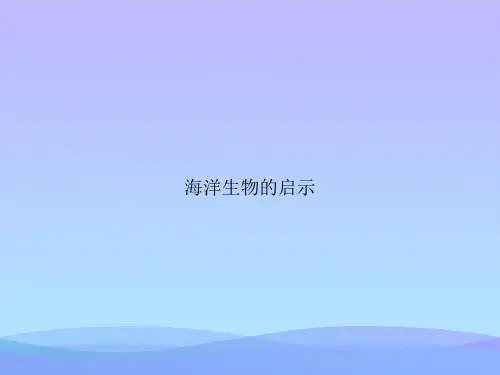 【精品】海洋生物的启示-精品资料PPTPPT资料