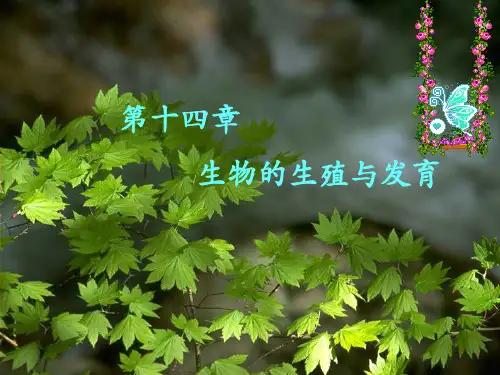 生物的无性生殖课件(1)(苏教版)