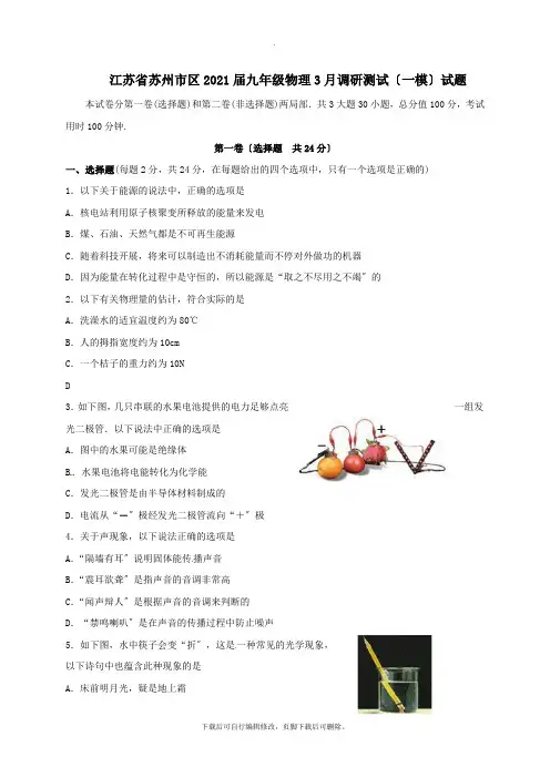 江苏省苏州市区2021届九年级3月调研测试(一模)物理试卷