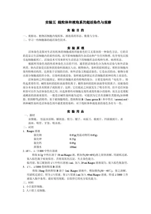 实验三 线粒体和液泡系的超活染色与观察