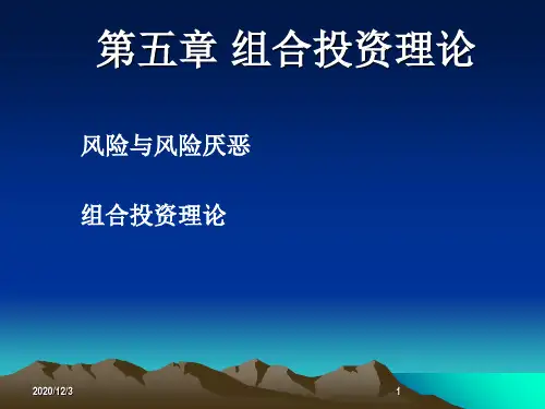 第五章组合投资理论PPT课件