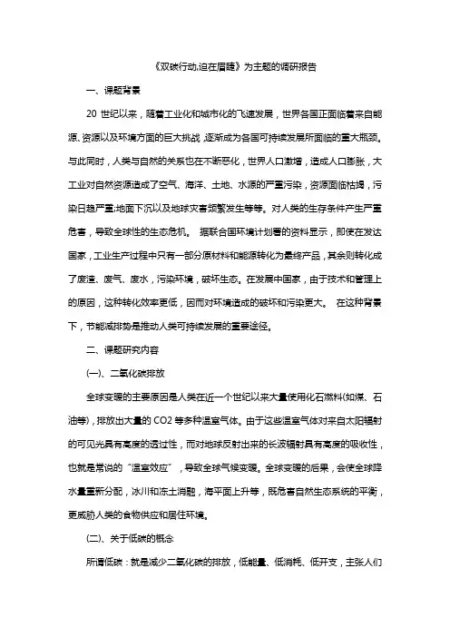 《双碳行动,迫在眉睫》为主题的调研报告