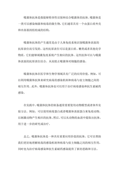 噬菌体抗体概念