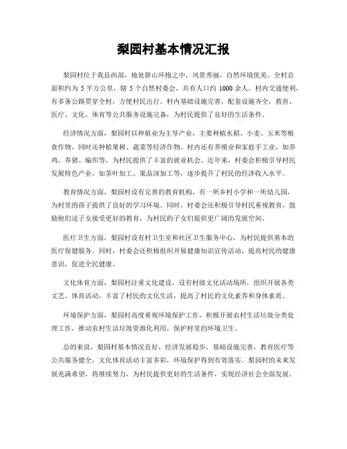 梨园村基本情况汇报