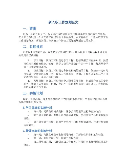 新入职工作规划范文