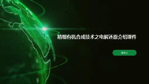 精细有机合成技术之电解还原介绍课件