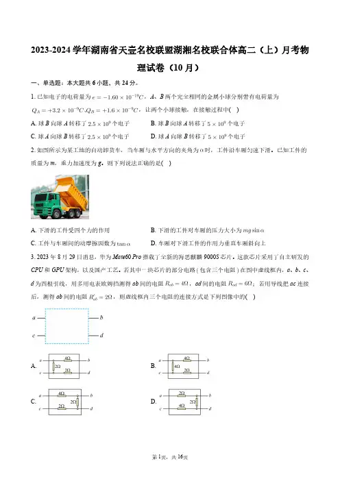 2023-2024学年湖南省天壹名校联盟湖湘名校联合体高二(上)月考物理试卷(10月)+答案解析