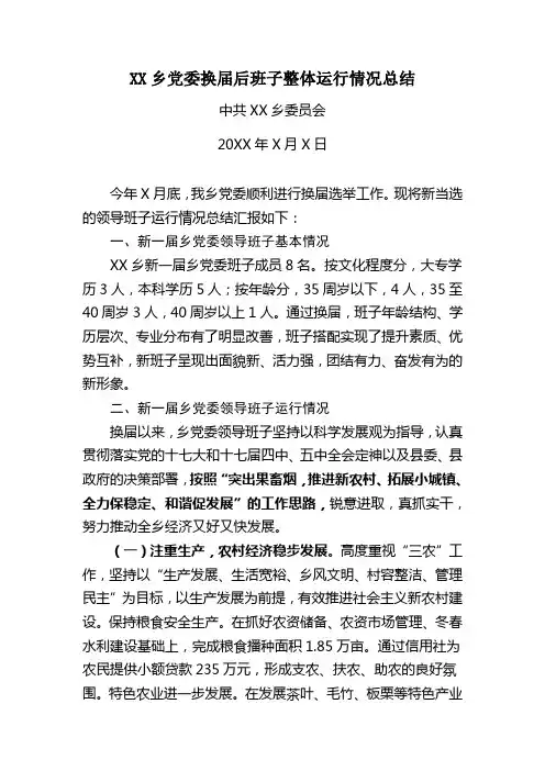 XX乡党委换届后班子整体运行情况总结