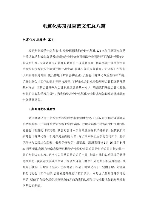 电算化实习报告范文汇总八篇