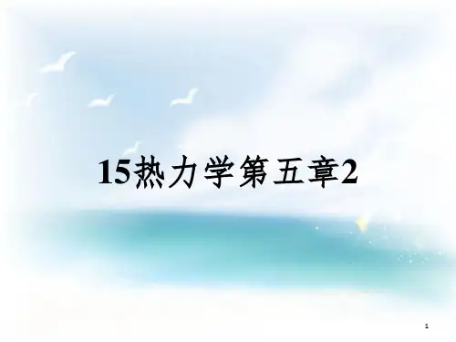 15热力学第五章2