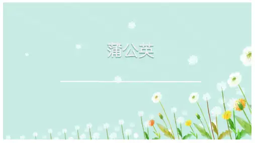 风中飞舞的蒲公英-课件(共21张PPT)   低年级劳技活动通用.ppt
