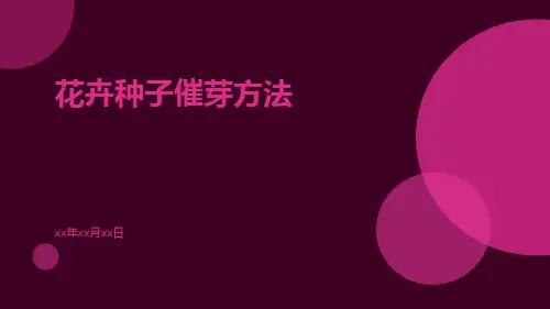 花卉种子催芽方法