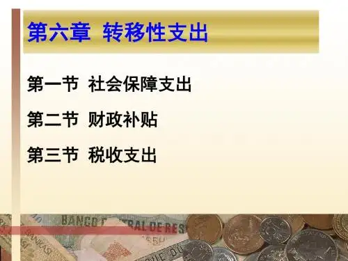 财政学—06转移性支出-精品文档