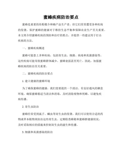 蜜蜂疾病防治要点