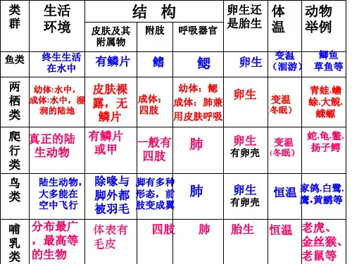 动物的主要类群_表格