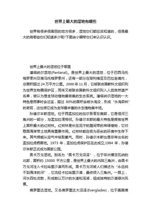 世界上最大的湿地有哪些