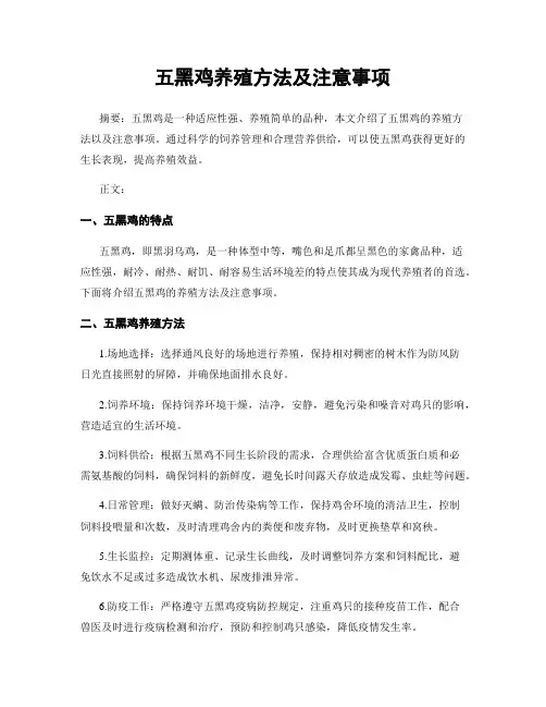 五黑鸡养殖方法及注意事项