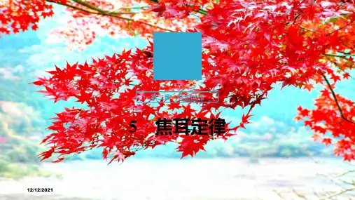 高中物理第二章恒定电流5焦耳定律课件选修31高二选修31物理课件