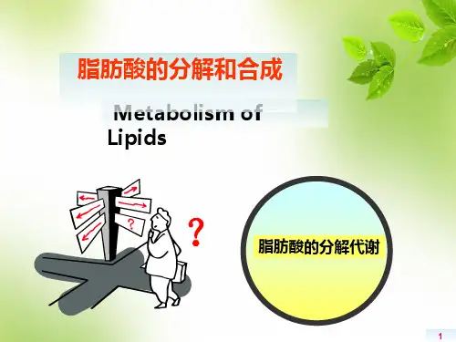 脂肪酸的分解β-氧化作用PPT参考课件