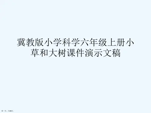 冀教版小学科学六年级上册小草和大树课件演示文稿