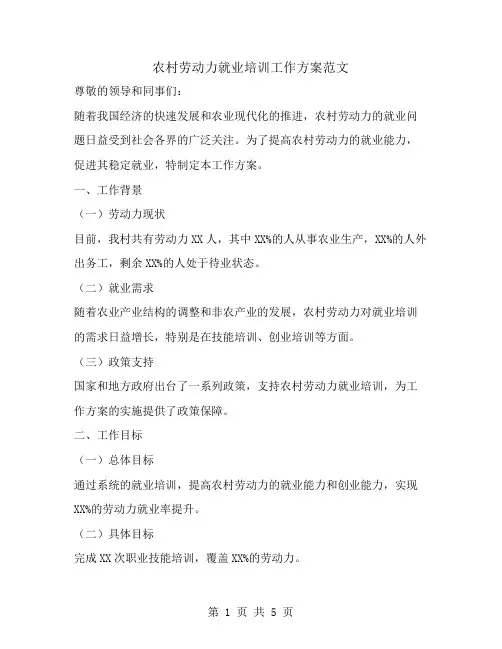 农村劳动力就业培训工作方案范文