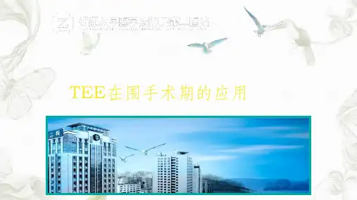 TEE在围手术期的应用ppt课件